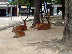 2002/06/29画像-4