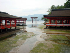2002/06/29�摜-6