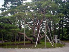 2002/07/02画像-4