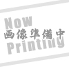 日清 ブタホタテドリ