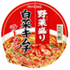 ニュータッチ 野菜盛り 白菜キムチラーメン