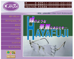 ハヤフジ眼鏡店
